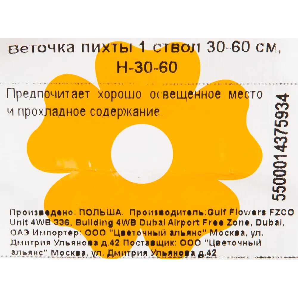 Фото 4 Ветка Пихты живая срезанная 30-60 см