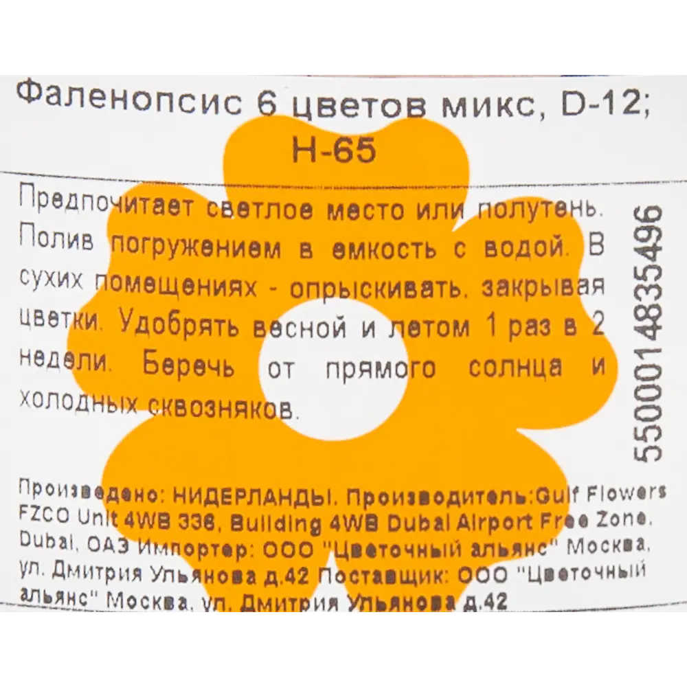 Фото 3 Орхидея Фаленопсис 6 цветов микс ø12 h65 см Фото 3 Орхидея Фаленопсис 6 цветов микс ø12 h65 см