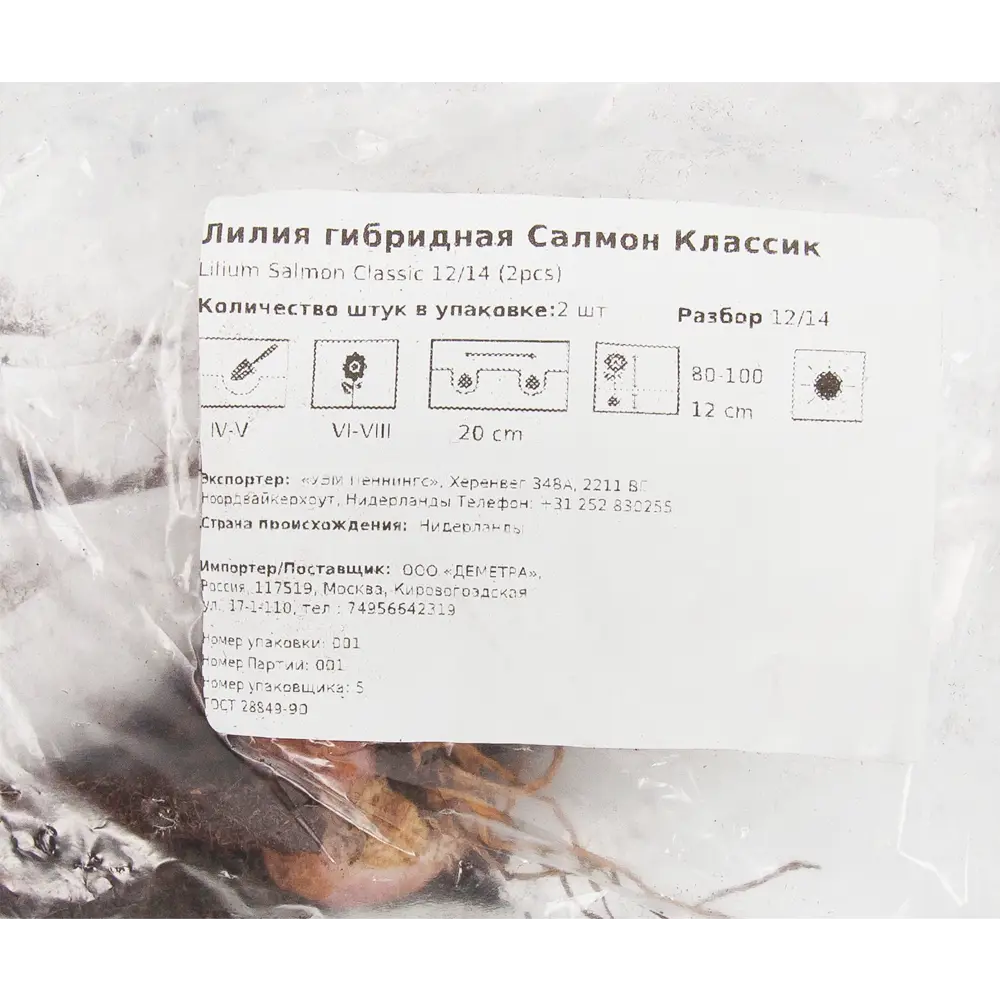 Фото 2 Лилия гибридная Салмон луковица 12/14 Фото 2 Лилия гибридная Салмон луковица 12/14