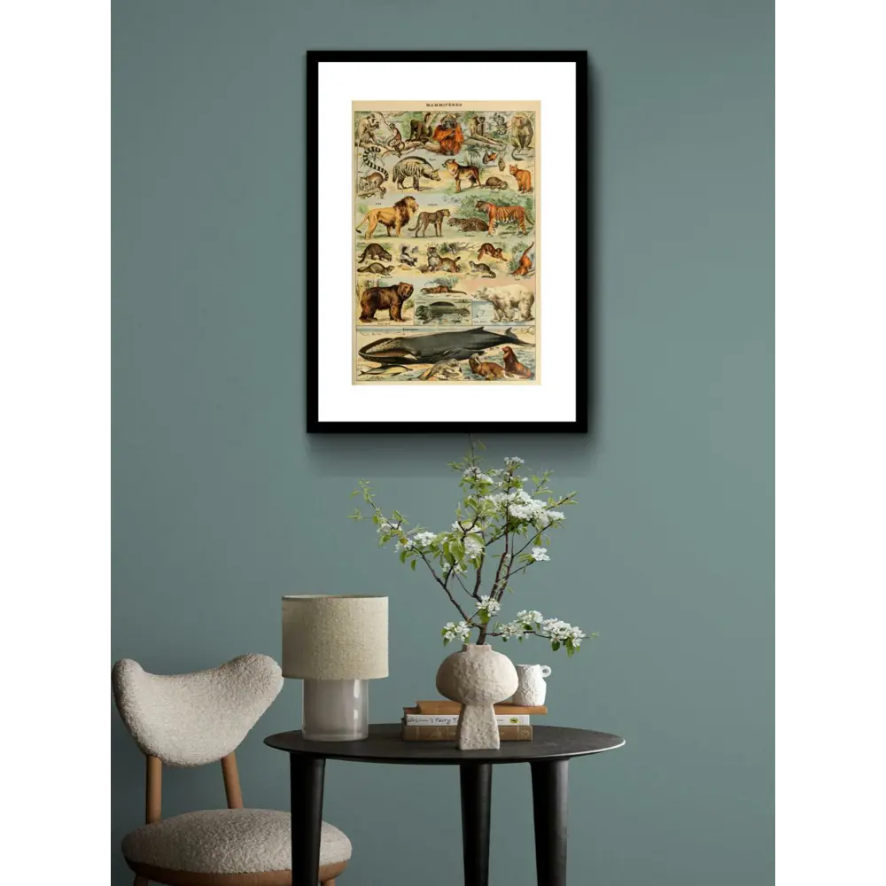 Фото Постер Просто Постер Виды животных 40x50 в раме Металл Фото Постер Просто Постер Виды животных 40x50 в раме Металл