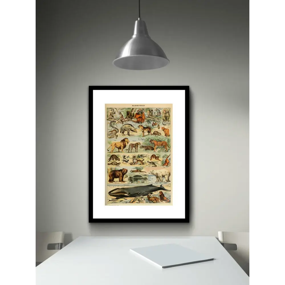 Фото 2 Постер Просто Постер Виды животных 40x50 в раме Металл Фото 2 Постер Просто Постер Виды животных 40x50 в раме Металл