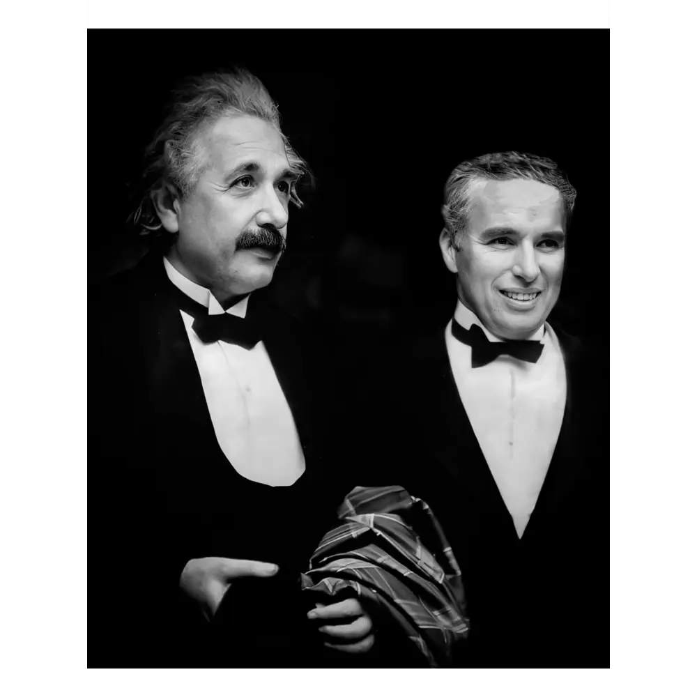 Фото 3 Постер Просто Постер Эйнштейн и Чаплин 40x50 в раме Металл Фото 3 Постер Просто Постер Эйнштейн и Чаплин 40x50 в раме Металл