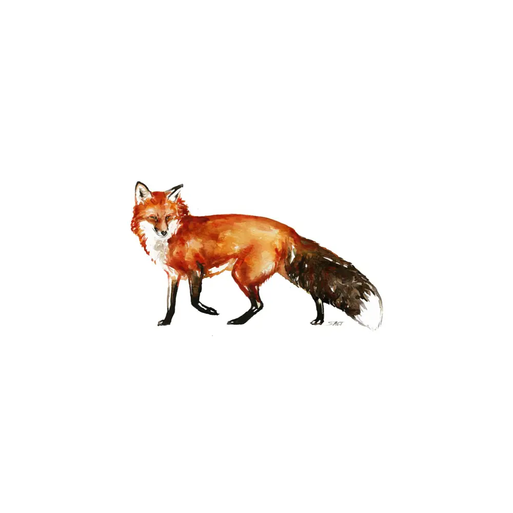 Фото 2 Постер Просто Постер Рыжая лиса 40x50 в раме Металл Фото 2 Постер Просто Постер Рыжая лиса 40x50 в раме Металл