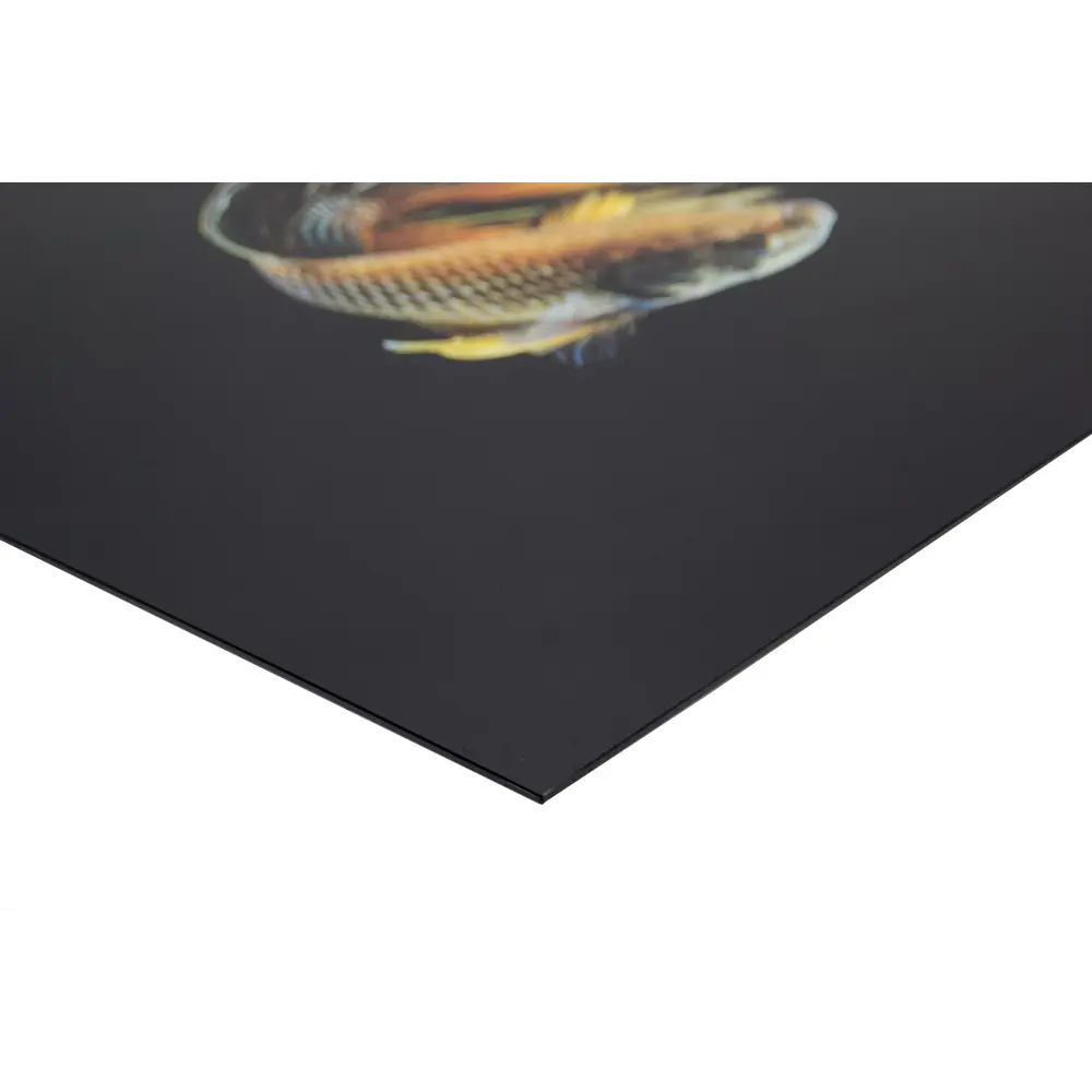Фото 4 Картина на стекле ArtWork Comet 76x76 см Фото 4 Картина на стекле ArtWork Comet 76x76 см