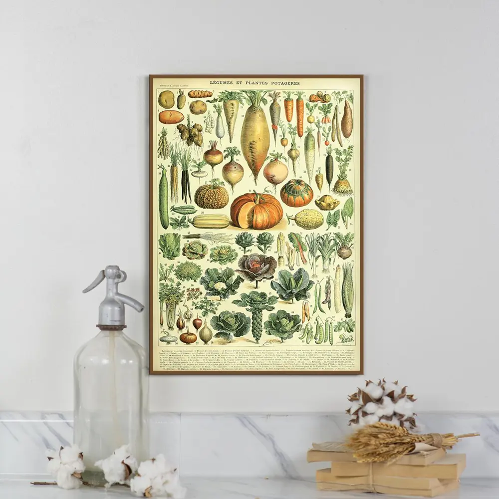 Фото Плакат Просто Постер Виды и иллюстрации овощей 90x120 в подарочном тубусе 803222643361 без рамы Фото Плакат Просто Постер Виды и иллюстрации овощей 90x120 в подарочном тубусе 803222643361 без рамы