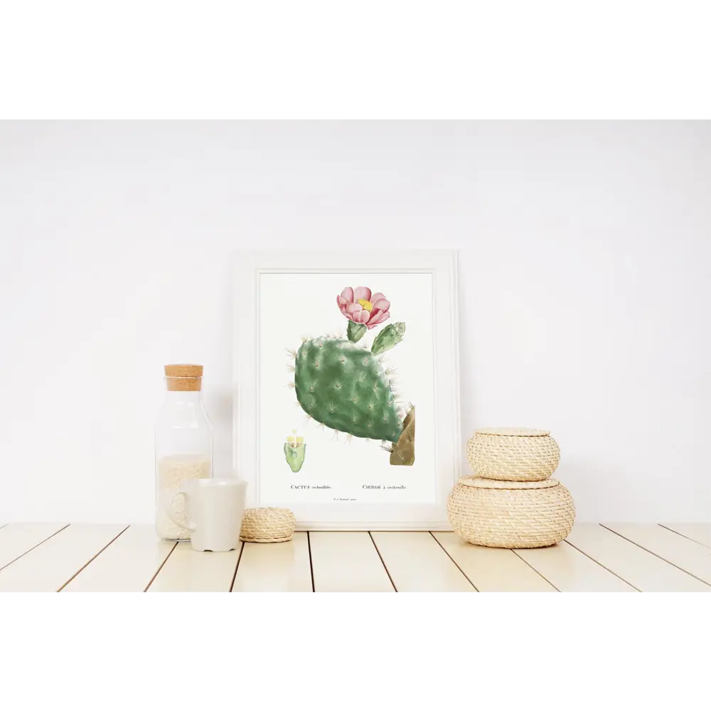 Фото Плакат Просто Постер Кактус Кохениллифер 90x120 в подарочном тубусе 659019426101 без рамы