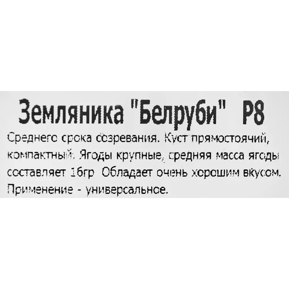 Фото 2 Земляника Белруби 8x7 см Фото 2 Земляника Белруби 8x7 см