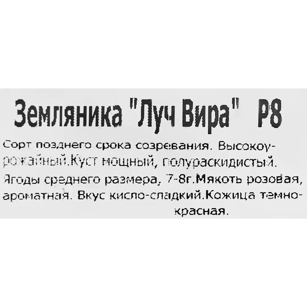 Фото 2 Земляника Луч Вира 8x7 см Фото 2 Земляника Луч Вира 8x7 см