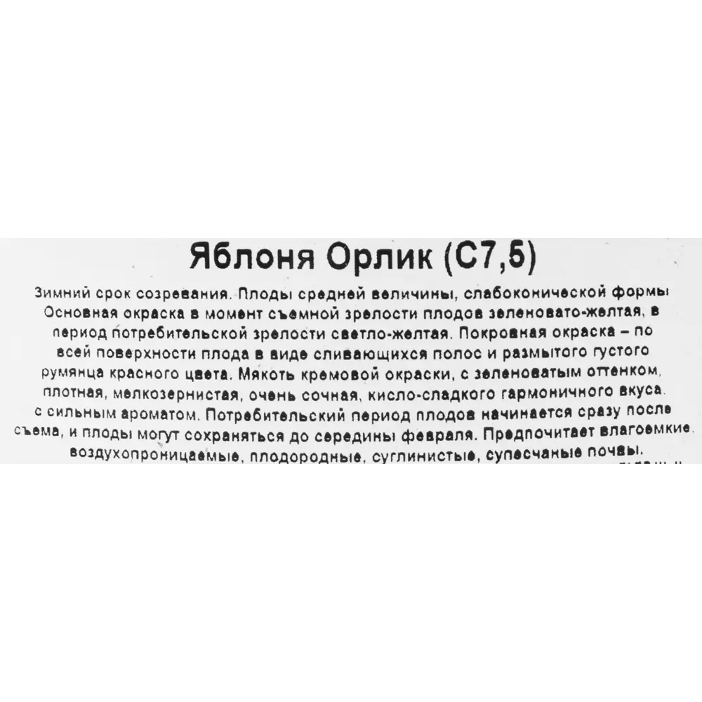 Фото 2 Яблоня микс ø 20 h80-100 см Поиск Инвест Фото 2 Яблоня микс ø 20 h80-100 см Поиск Инвест