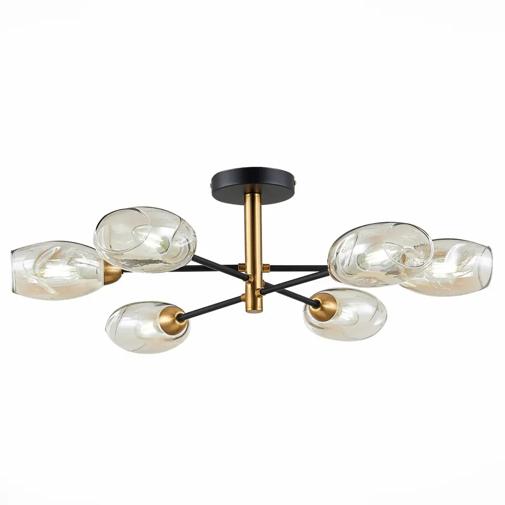 Фото Люстра потолочная EVOLUCE SLE155502-06 GLOA 6 ламп 12 м² цвет черный Фото Люстра потолочная EVOLUCE SLE155502-06 GLOA 6 ламп 12 м² цвет черный