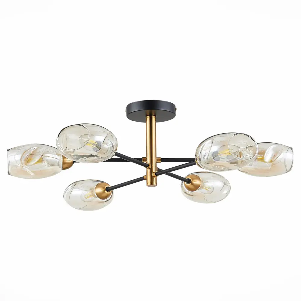 Фото 2 Люстра потолочная EVOLUCE SLE155502-06 GLOA 6 ламп 12 м² цвет черный Фото 2 Люстра потолочная EVOLUCE SLE155502-06 GLOA 6 ламп 12 м² цвет черный