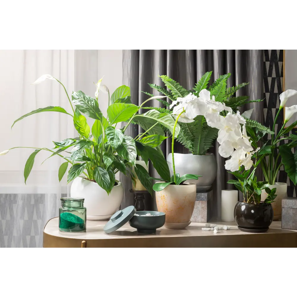 Фото 5 Горшок цветочный для орхидей Nina Glass Современный ø14.5 v1 л стекло бежевый/золотой Фото 5 Горшок цветочный для орхидей Nina Glass Современный ø14.5 v1 л стекло бежевый/золотой
