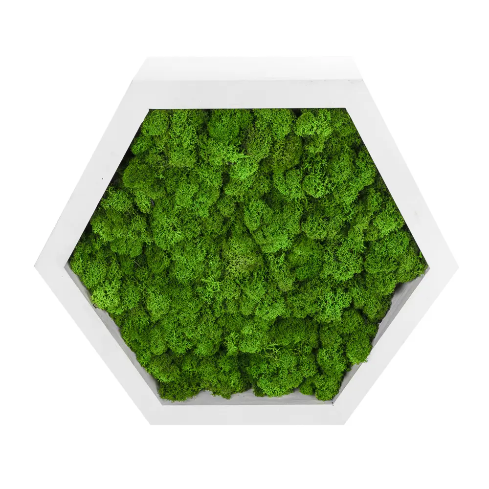 Фото 2 Декоративная полка Сота белая со мхом серия Pine 30x26x8.5 см Фото 2 Декоративная полка Сота белая со мхом серия Pine 30x26x8.5 см