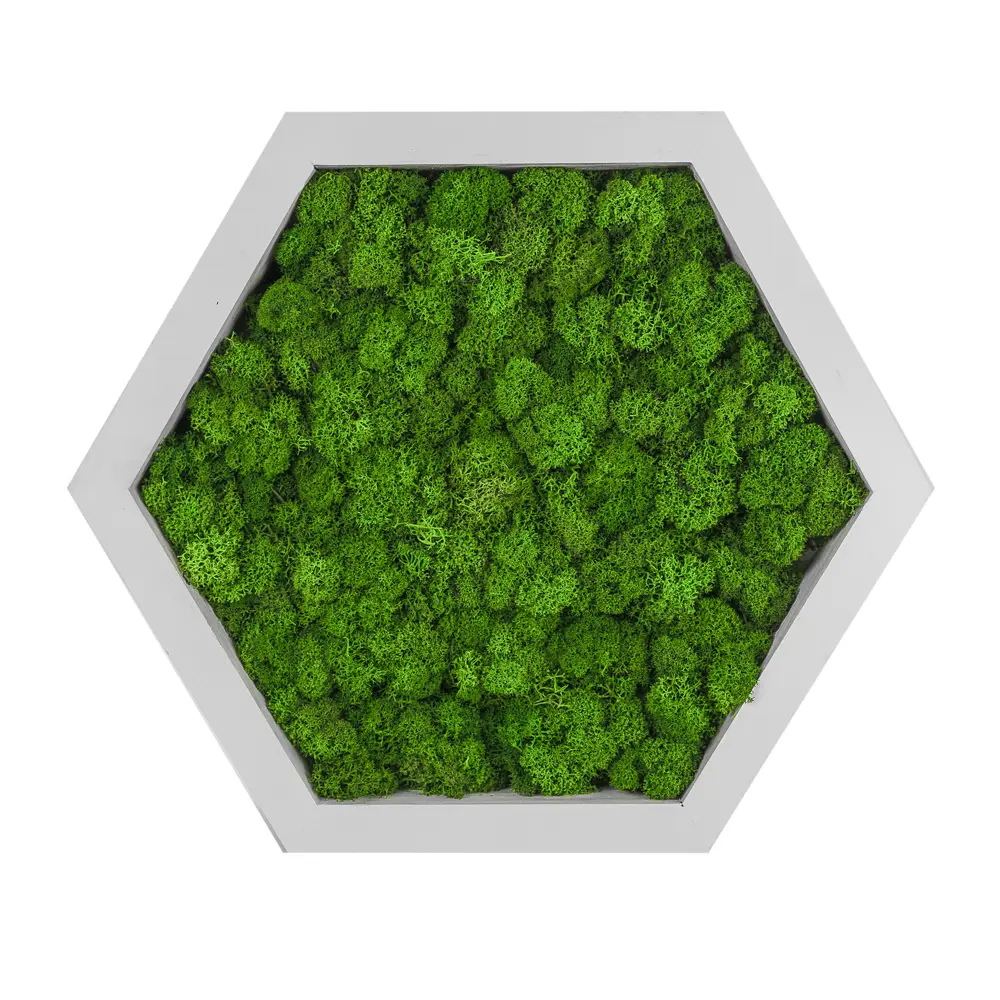 Фото 3 Декоративная полка Сота белая со мхом серия Pine 30x26x8.5 см Фото 3 Декоративная полка Сота белая со мхом серия Pine 30x26x8.5 см