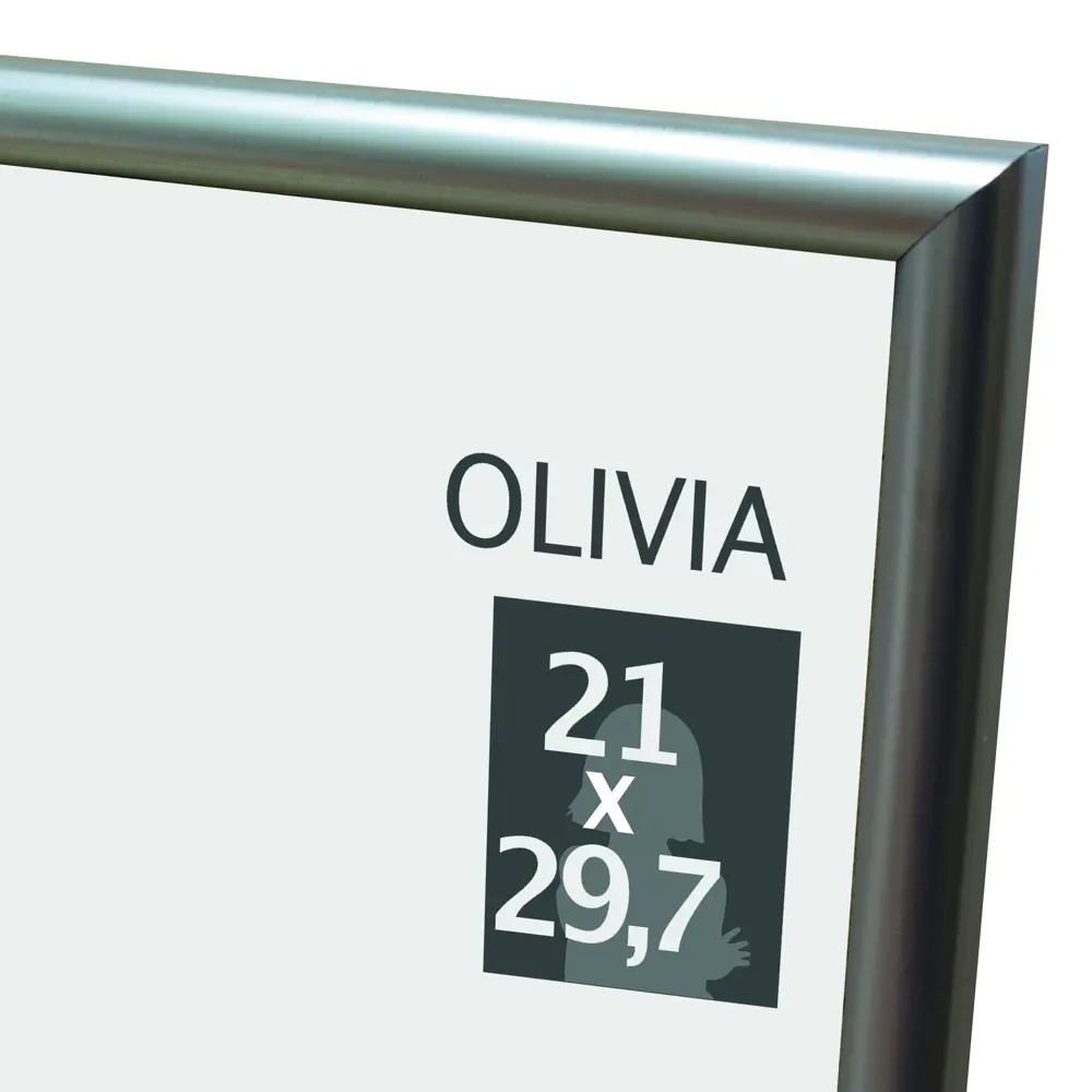 Фото Рамка Olivia 21x29.7 см пластик цвет серебро Фото Рамка Olivia 21x29.7 см пластик цвет серебро