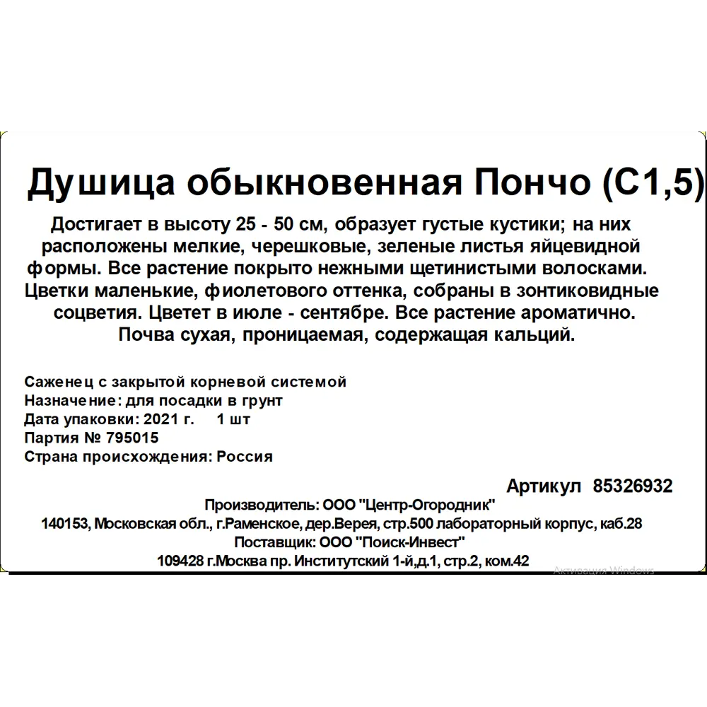 Фото 2 Душица обыкновенная Пончо ø15 h20 см Фото 2 Душица обыкновенная Пончо ø15 h20 см