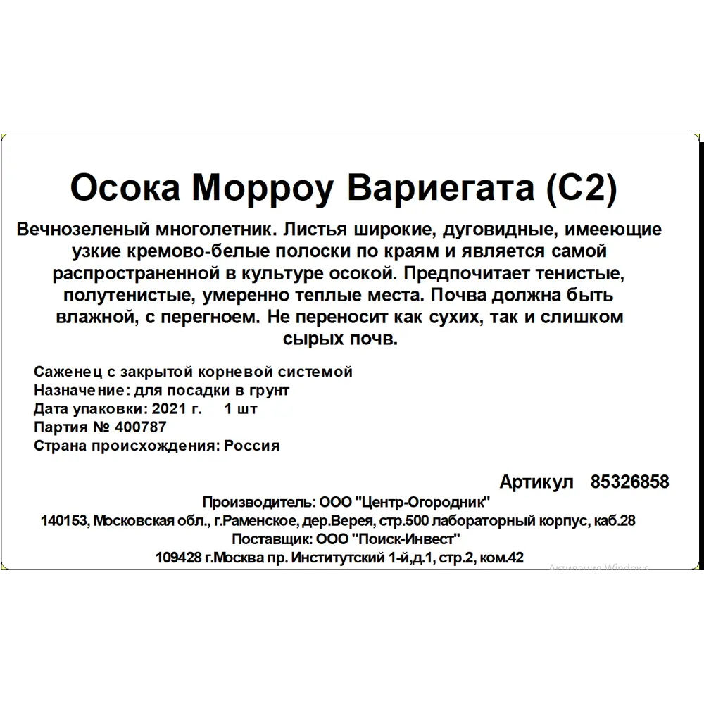 Фото 3 Осока микс ø17 h50 см Фото 3 Осока микс ø17 h50 см