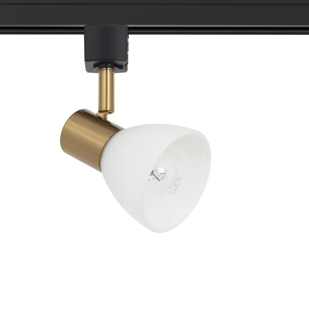 Фото Трековый светильник Arte Lamp Falena со сменной лампой E14 40 Вт 2 м² цвет черный Фото Трековый светильник Arte Lamp Falena со сменной лампой E14 40 Вт 2 м² цвет черный