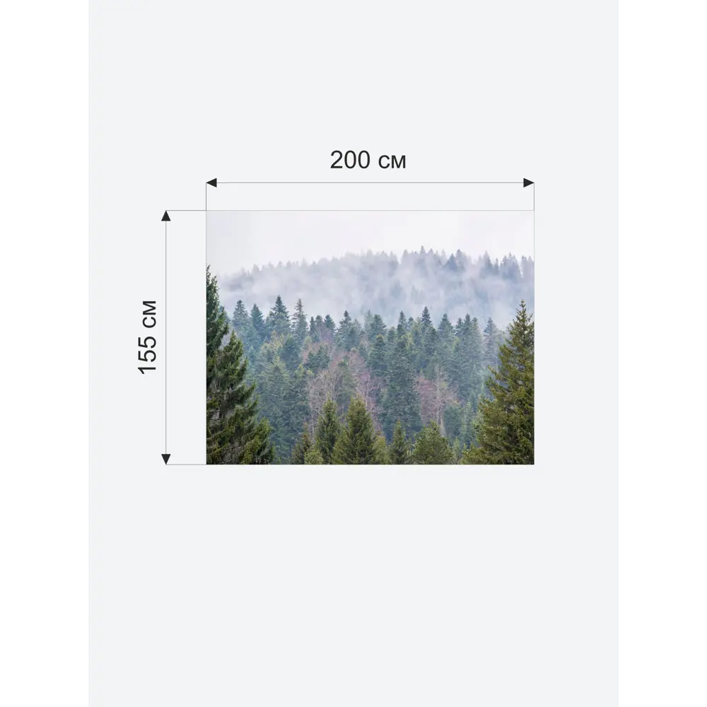 Фото Бумажные фотообои бесшовные 3D Verol Лес 3.1 м2. 200x155 см.. плотность 115 г/м Фото Бумажные фотообои бесшовные 3D Verol Лес 3.1 м2. 200x155 см.. плотность 115 г/м