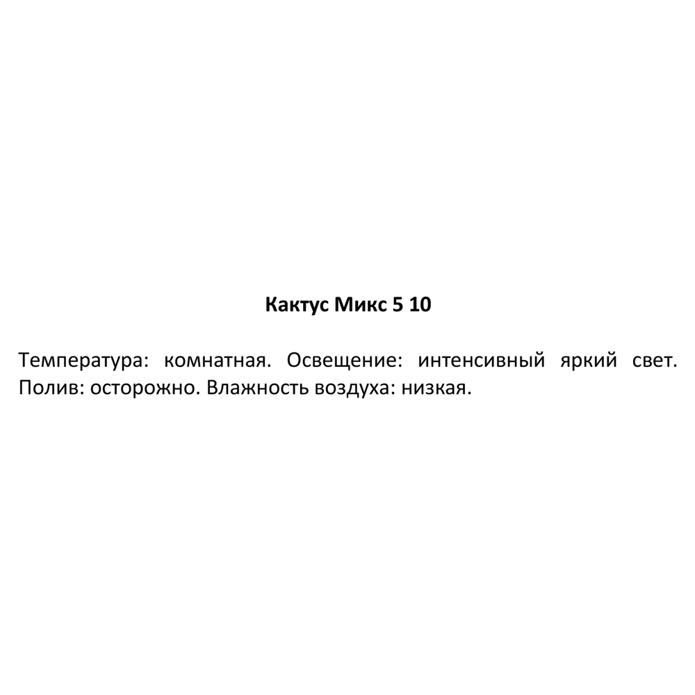 Фото 3 Кактус микс ø5 h10 см Фото 3 Кактус микс ø5 h10 см