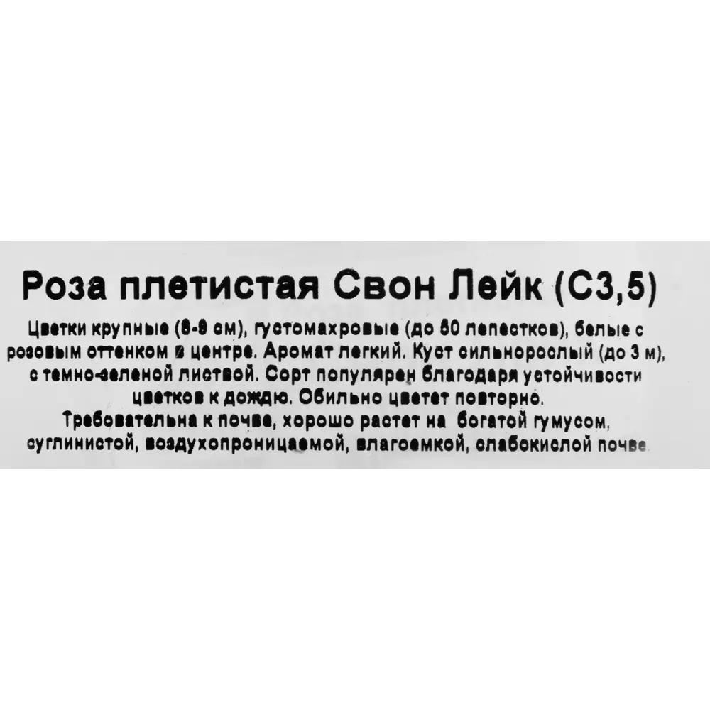Фото 3 Роза в сортах (V3л) Фото 3 Роза в сортах (V3л)