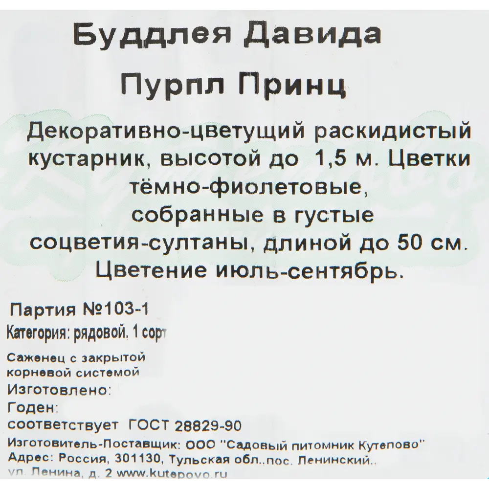 Фото 3 Будлея Дэвида 15x20 см