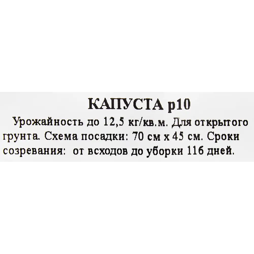 Фото 2 Рассада Капуста ø9 h15 см Фото 2 Рассада Капуста ø9 h15 см