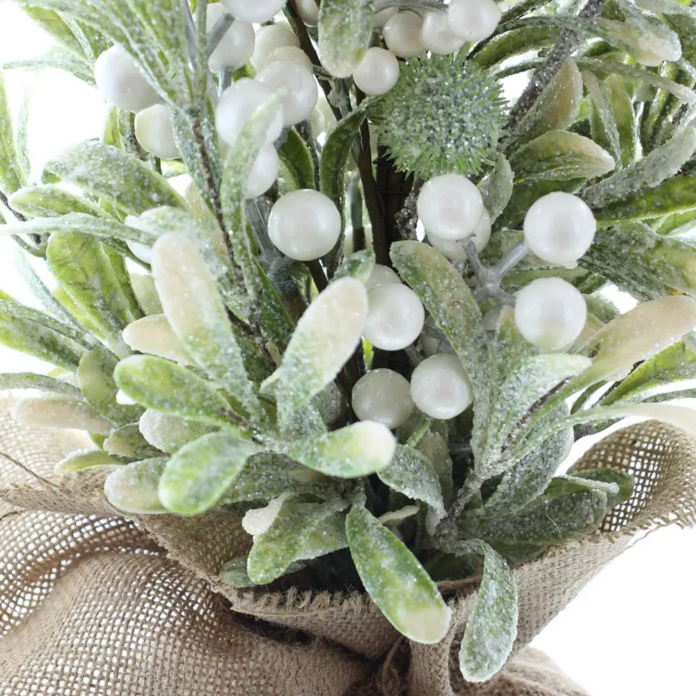 Фото 6 Декоративное растение Frank Деревце омела с перламутровыми ягодами