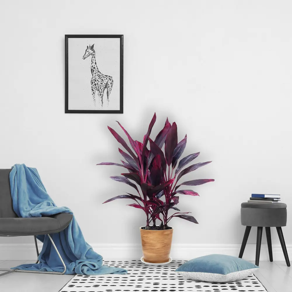 Фото 2 Горшок цветочный «Ироко» №6, ø16 см, 9.4 л, керамика, цвет коричневый Фото 2 Горшок цветочный «Ироко» №6, ø16 см, 9.4 л, керамика, цвет коричневый
