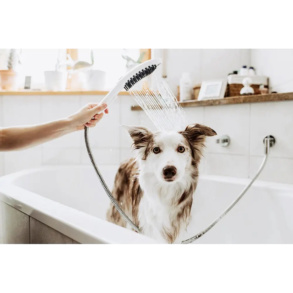 Фото 4 Лейка для душа Hansgrohe DogShower 150 для собак 3 режима, цвет матовый белый Фото 4 Лейка для душа Hansgrohe DogShower 150 для собак 3 режима, цвет матовый белый