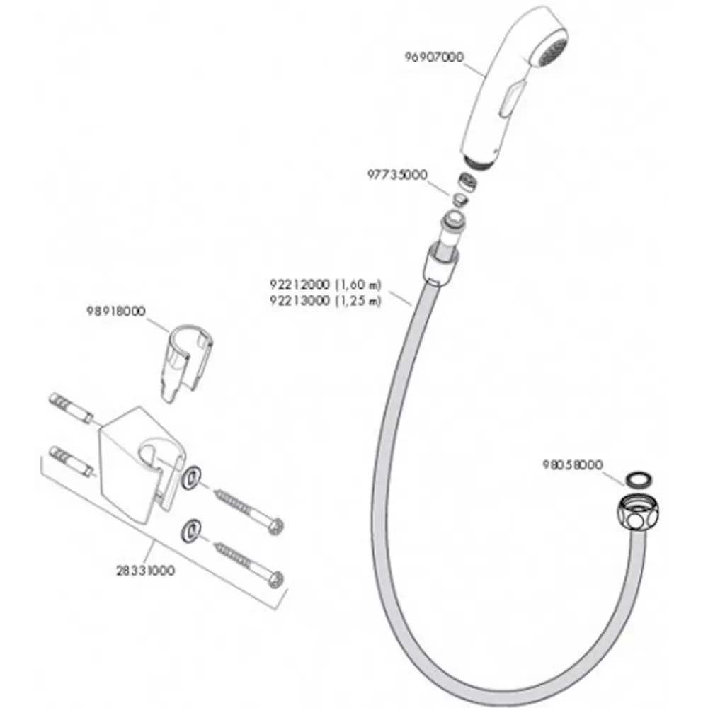 Фото 2 Лейка для гигиенического душа Hansgrohe 32129000, цвет хром