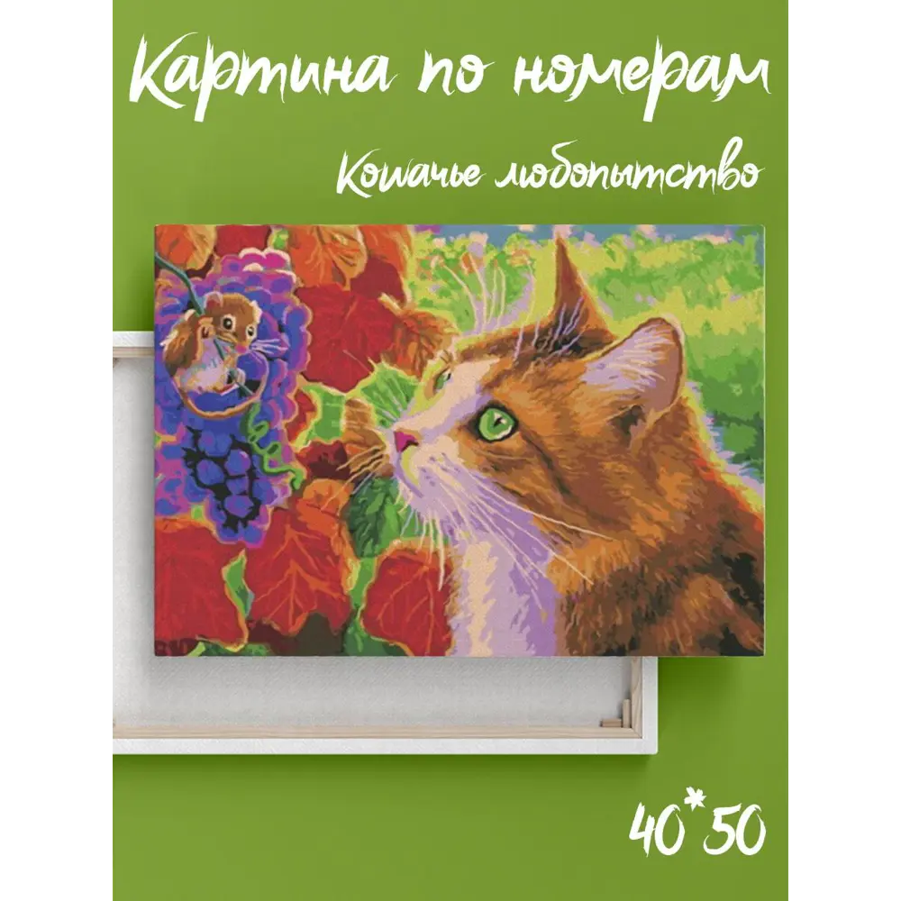 Фото 3 Картина по номерам Paintboy на подрамнике Кошачье любопытство 40x50 Фото 3 Картина по номерам Paintboy на подрамнике Кошачье любопытство 40x50