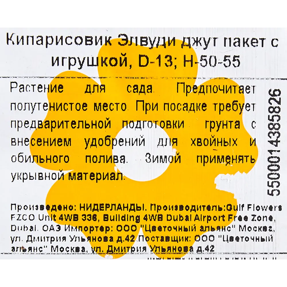 Фото 5 Кипарисовик в джуте с игрушкой 13x50-55 см 3 цвета Фото 5 Кипарисовик в джуте с игрушкой 13x50-55 см 3 цвета