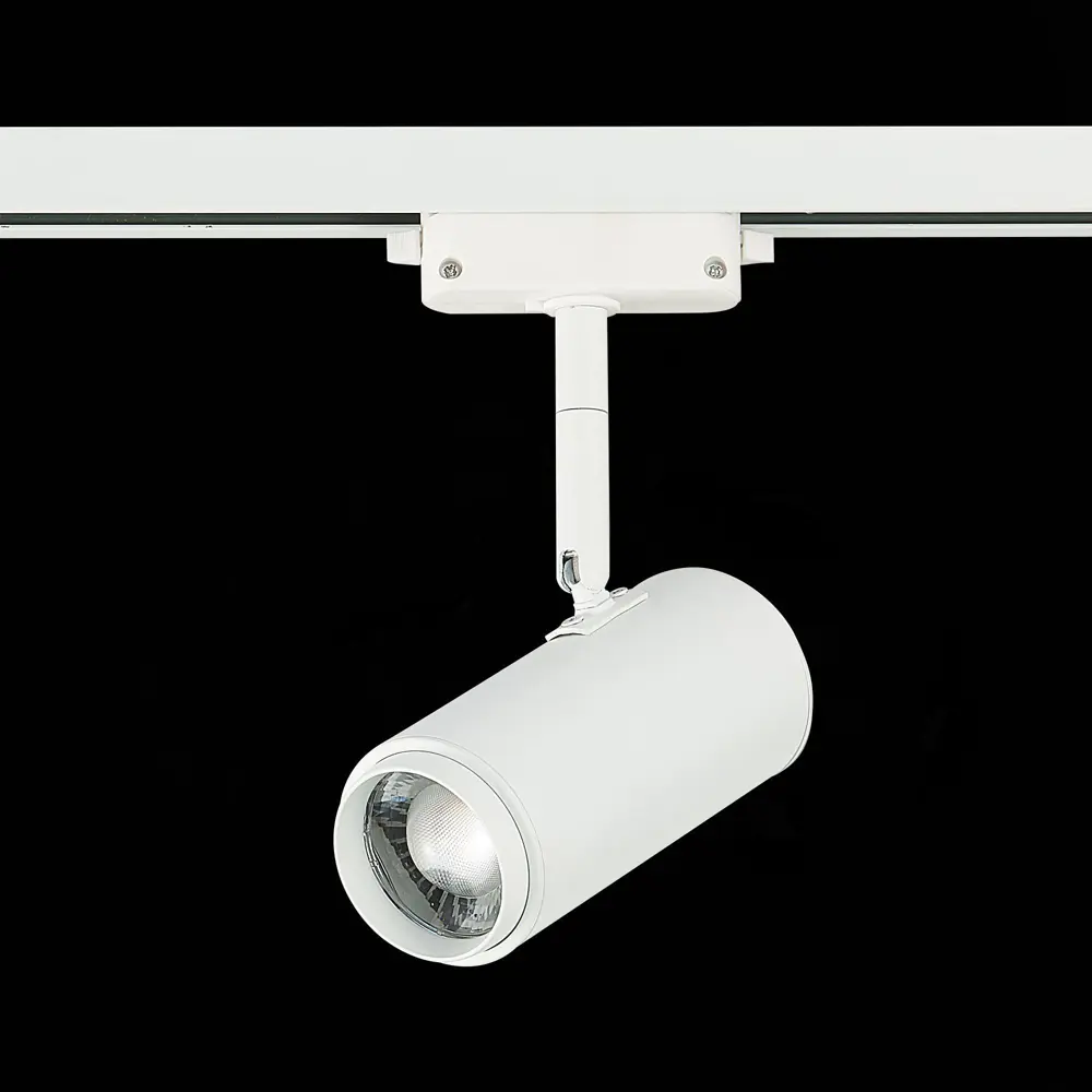 Фото 5 Трековый светильник ST Luce Zoom ST600.546.12 12Вт 1200 встроенные светодиоды Фото 5 Трековый светильник ST Luce Zoom ST600.546.12 12Вт 1200 встроенные светодиоды