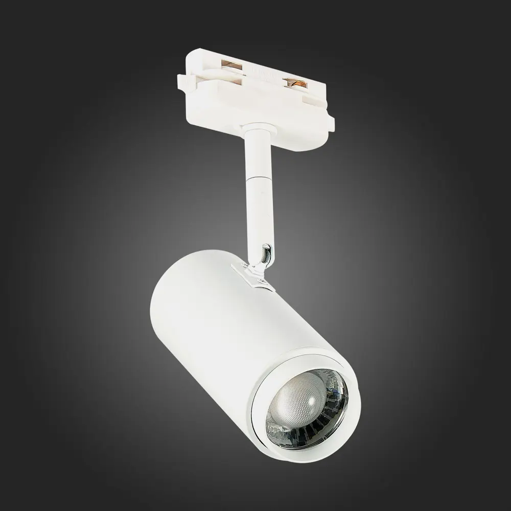 Фото 9 Трековый светильник ST Luce Zoom ST600.546.12 12Вт 1200 встроенные светодиоды Фото 9 Трековый светильник ST Luce Zoom ST600.546.12 12Вт 1200 встроенные светодиоды