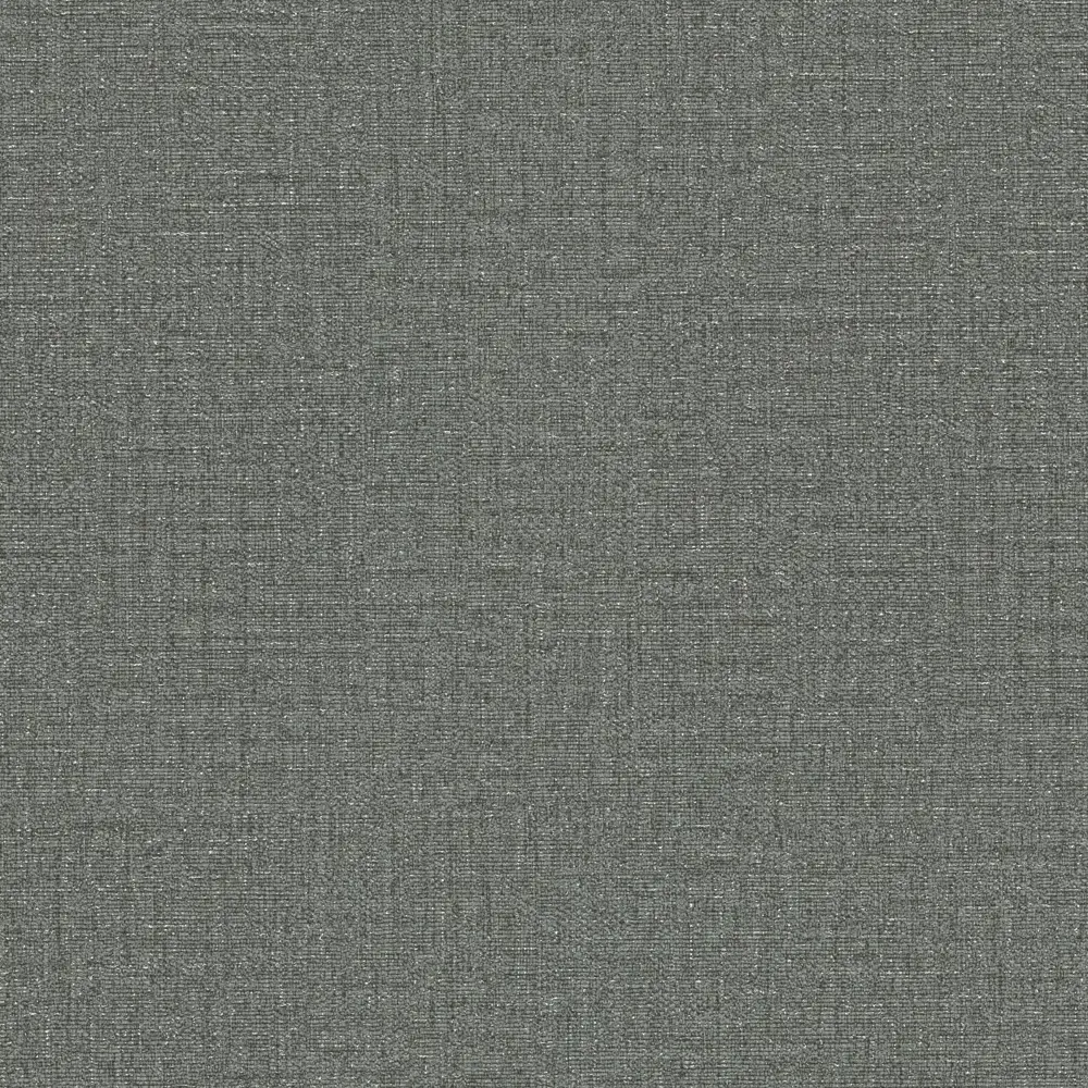 Фото 2 Обои флизелиновые Varvara графитовые 1.06 м м R920635 Фото 2 Обои флизелиновые Varvara графитовые 1.06 м м R920635