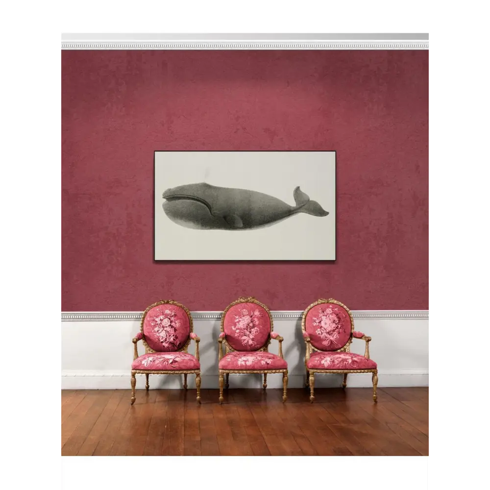 Фото 2 Постер ПростоПостер Гренландский кит 60x90 см в подарочном тубусе без рамы Фото 2 Постер ПростоПостер Гренландский кит 60x90 см в подарочном тубусе без рамы