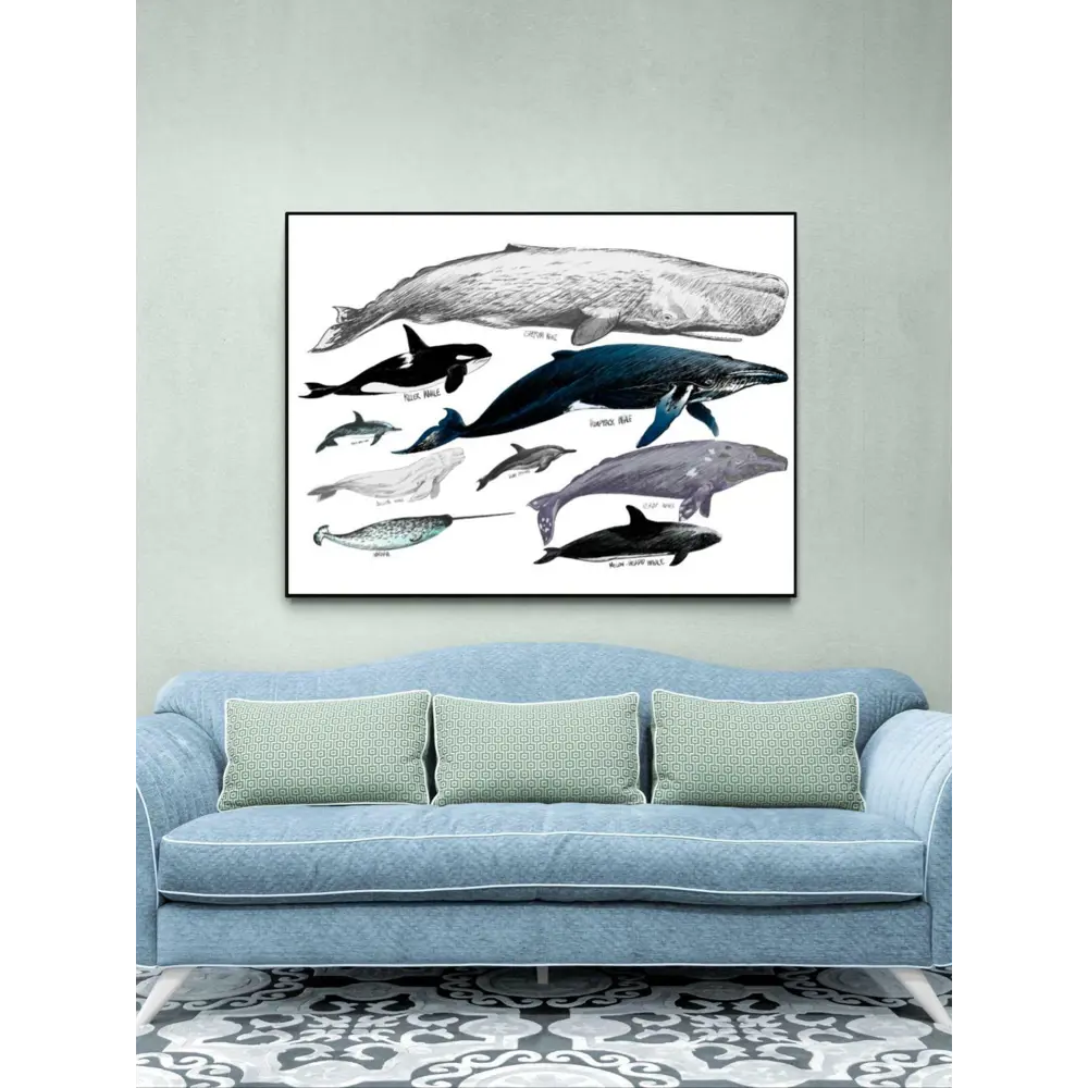 Фото Постер ПростоПостер Разновидность китов 90x120 см в подарочном тубусе без рамы