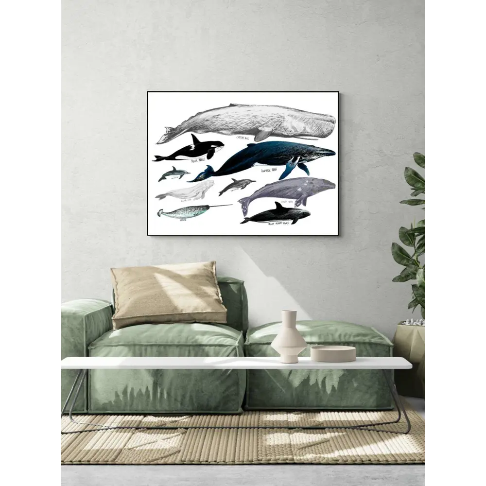 Фото 2 Постер ПростоПостер Разновидность китов 90x120 см в подарочном тубусе без рамы