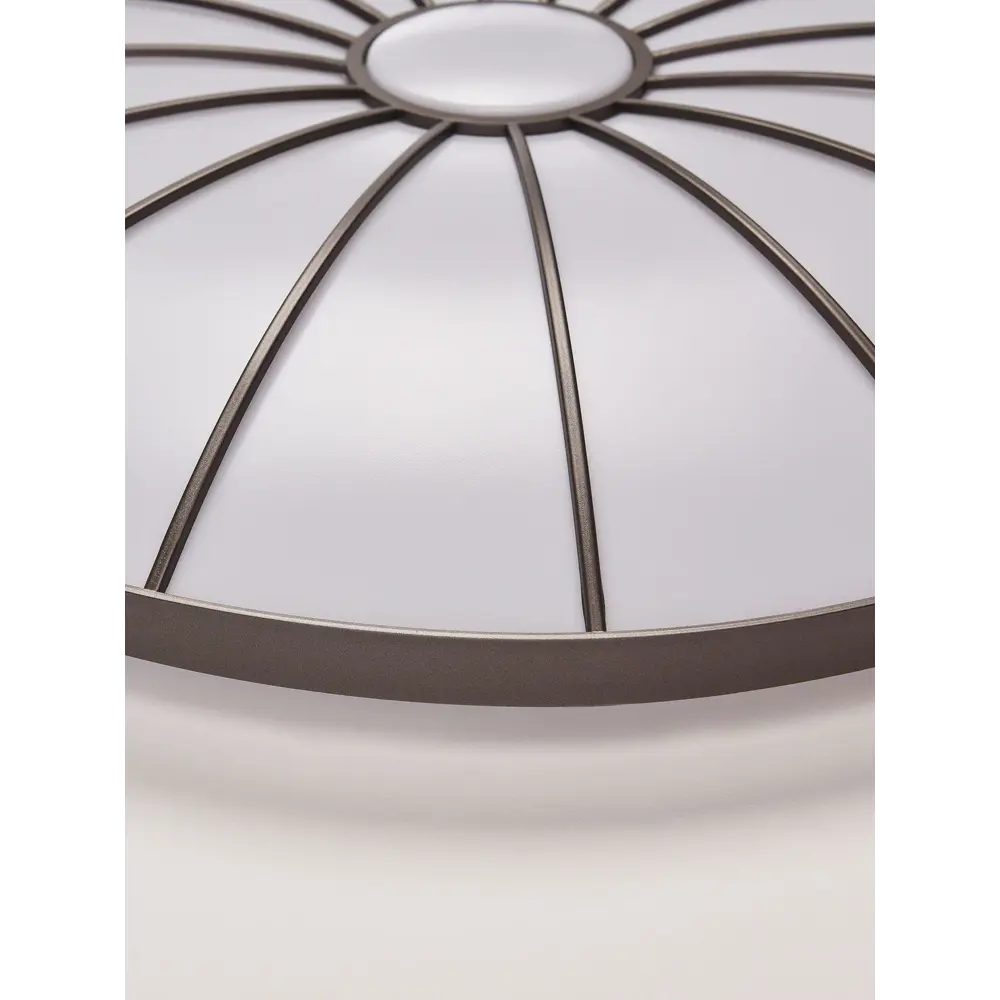 Фото 3 Светильник настенно-потолочный светодиодный Arte Perfetto Luce APL2233306.B202-350 с пультом управления нейтральный белый свет цвет коричневый Фото 3 Светильник настенно-потолочный светодиодный Arte Perfetto Luce APL2233306.B202-350 с пультом управления нейтральный белый свет цвет коричневый