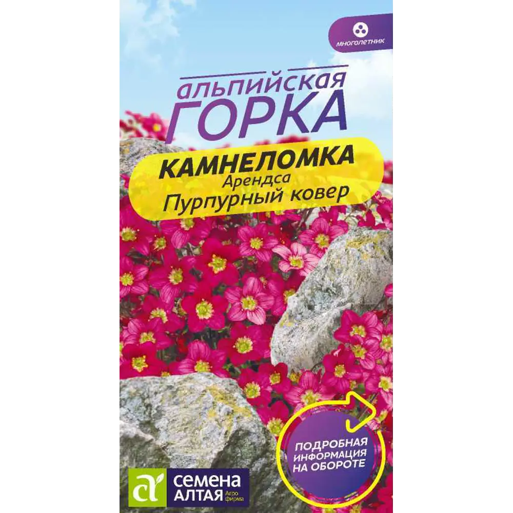 Фото Камнеломка Арендса Пурпурный ковер цп 0.01 г Фото Камнеломка Арендса Пурпурный ковер цп 0.01 г