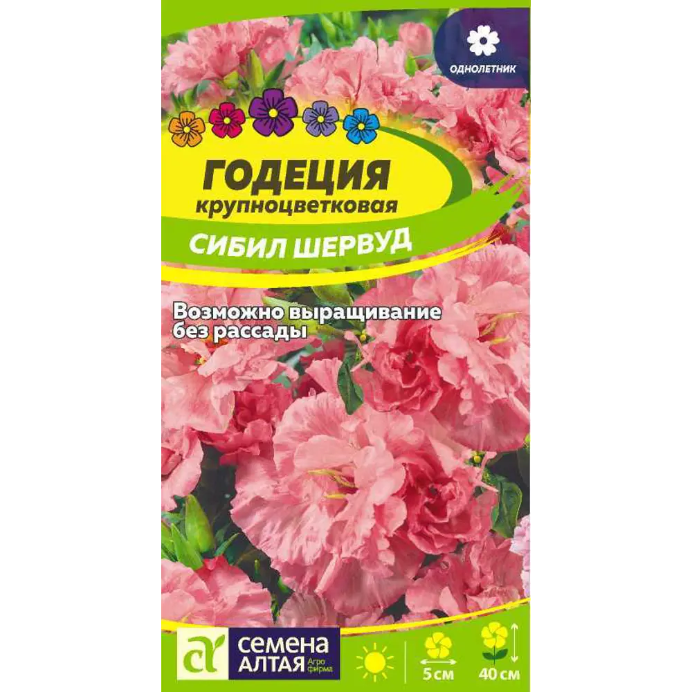 Фото Годеция Сибил Шервуд 0.2 г Фото Годеция Сибил Шервуд 0.2 г