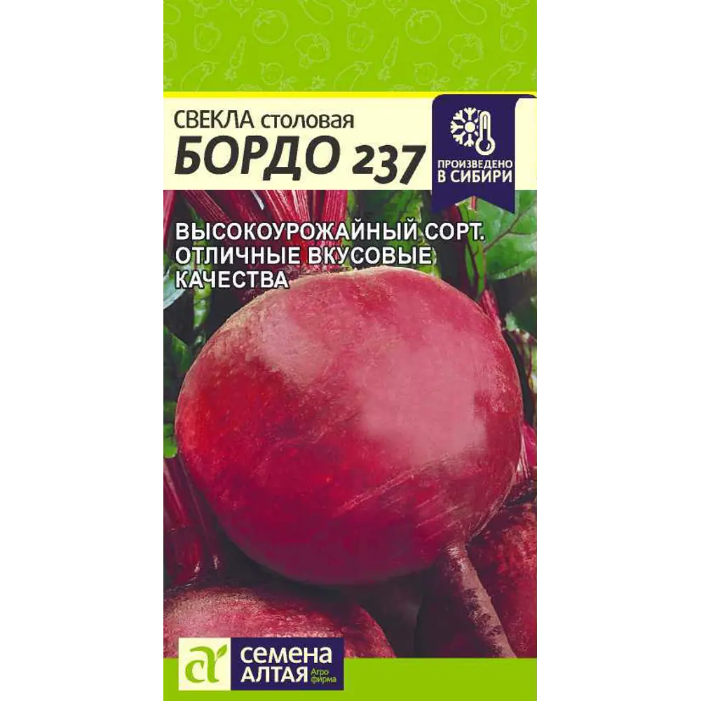 Фото Свекла Бордо 3 г Фото Свекла Бордо 3 г
