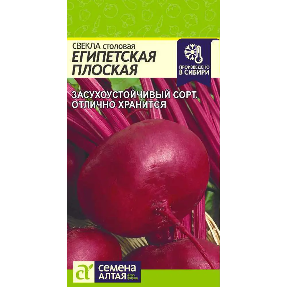 Фото Свекла Египетская плоская 3 г Фото Свекла Египетская плоская 3 г