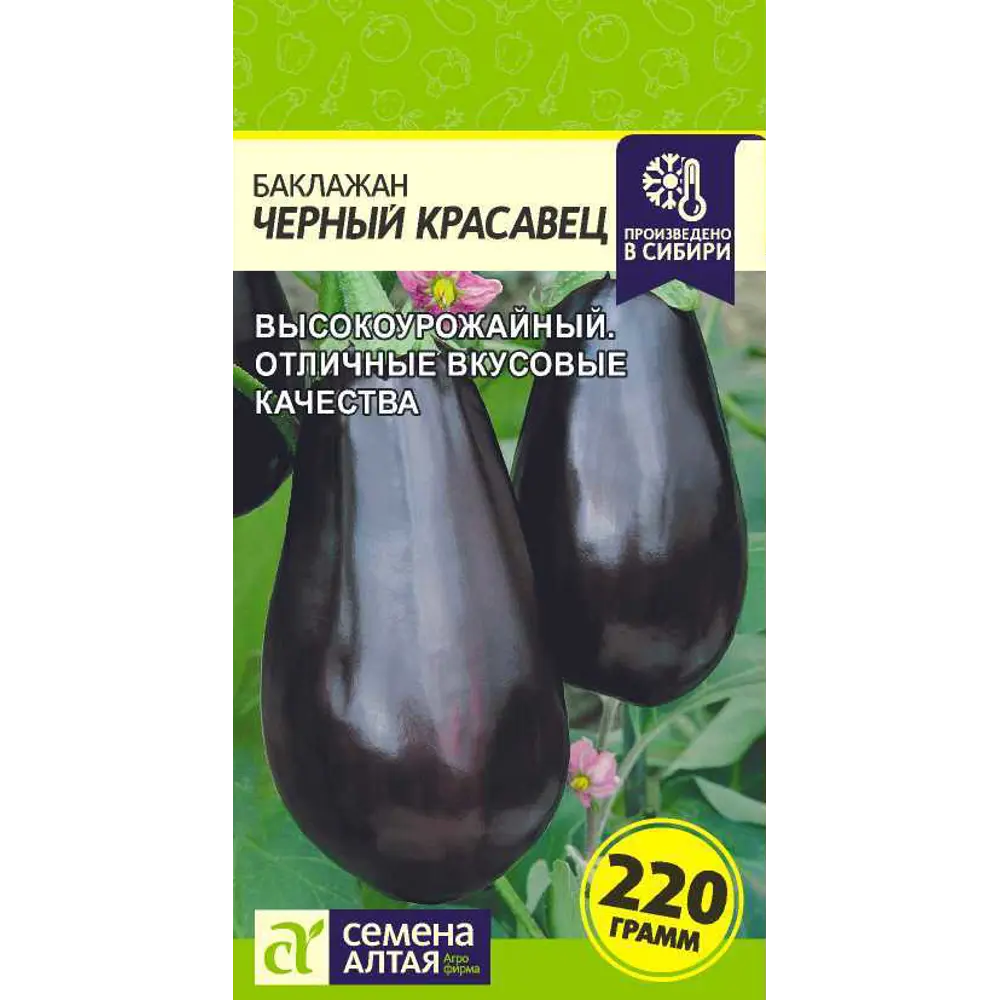Фото Баклажан Черный Красавец 0.3 г Фото Баклажан Черный Красавец 0.3 г