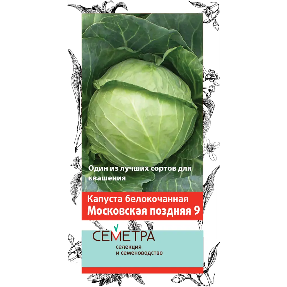 Капуста Семена Поздние Сорта Купить