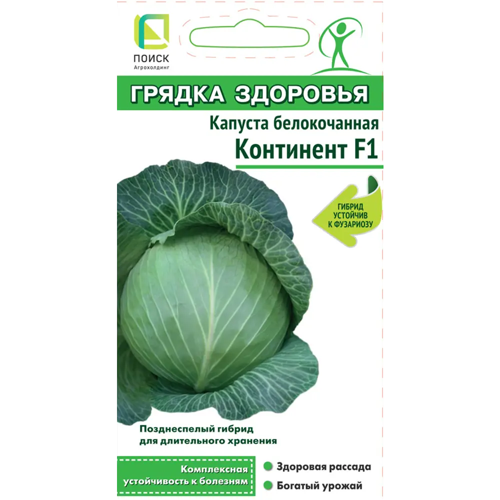 Фото Капуста белокочанная Континент F1 0.2 г Фото Капуста белокочанная Континент F1 0.2 г