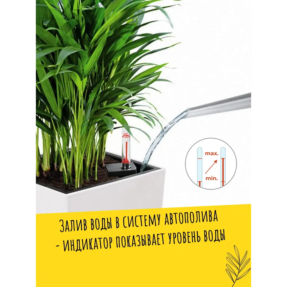 Фото 5 Кашпо настольное с автополивом Lechuza Cubico 22 18463 6 л Фото 5 Кашпо настольное с автополивом Lechuza Cubico 22 18463 6 л