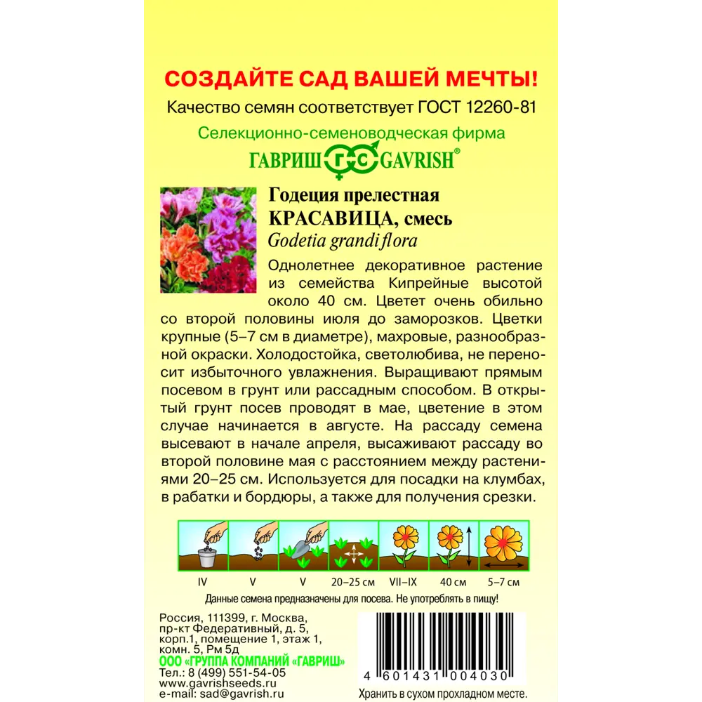 Фото 2 Годеция Красавица махровая смесь 0.3 г Фото 2 Годеция Красавица махровая смесь 0.3 г