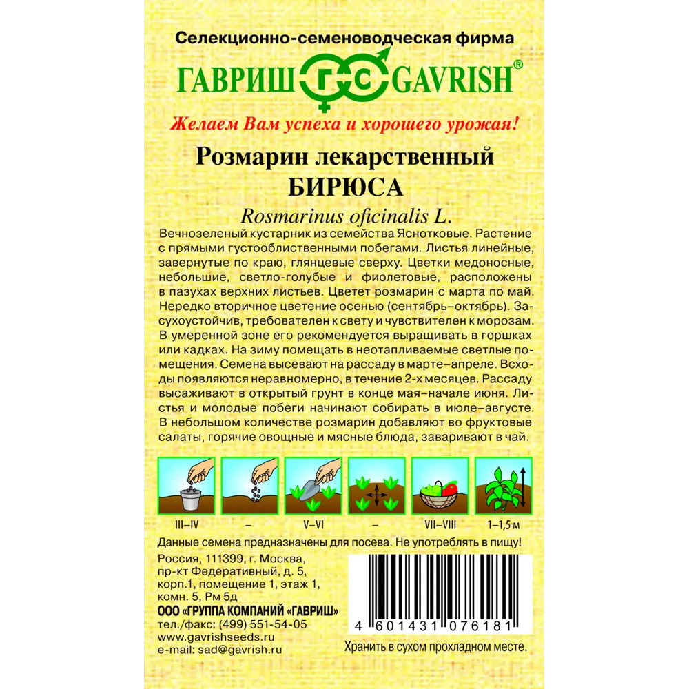 Фото 2 Розмарин Бирюса серия Семена от автора 0.05 г Фото 2 Розмарин Бирюса серия Семена от автора 0.05 г